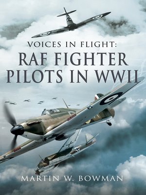 cover image of RAF Fighter Pilots in WWII